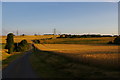 Little Blakenham: the drive to the Hall, in evening light