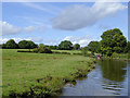 Llangollen Canal north of Preesgweene, Shropshire