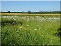 SP1605 : Farmland near Glebe Farm by Philip Halling