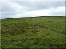 SH9220 : Up the hill towards Carreg y Bîg by Richard Law
