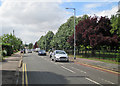 On Coleridge Road in July