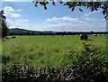 Farmland east of Selborne