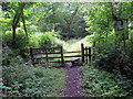 Sticil yn Abernant / Stile in Abernant