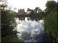 Pond on West End Common, Esher