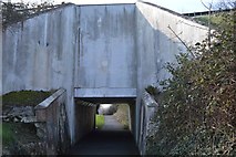 SX5158 : Underpass, Leigham by N Chadwick