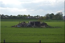 TL5065 : Ruin in a field by N Chadwick