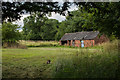 A barn and a cat