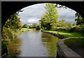 SJ3632 : Llangollen Canal at Lower Frankton in Shropshire by Roger  D Kidd