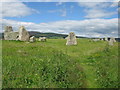 NJ4803 : Tomnaverie Stone Circle by G Laird
