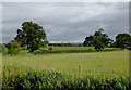 SJ3731 : Farm land east of Lower Frankton, Shropshire by Roger  D Kidd