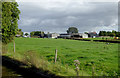 SJ3731 : Farm land east of Lower Frankton in Shropshire by Roger  D Kidd
