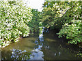 Colne Brook south of Wraysbury Road