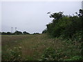 Footpath towards Burnt Downs