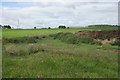 Dung heap and nettles