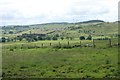 View from Fereneze Road