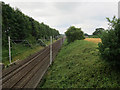 Railway past Jodrell Bank