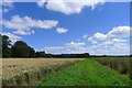 Footpath towards Kennel Plantation, Grimsthorpe Park