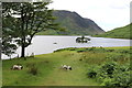 Hot on a trail by Crummock Water