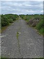 NJ3562 : Perimeter track, RAF Dallachy, Moray by Claire Pegrum
