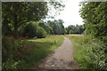 River Mole nature reserve path