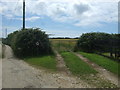 Field entrance near Hendra