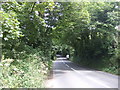 A30 heading north east through woodland