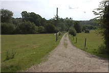 TQ1654 : Bridleway to Norbury Park farm by Robert Eva