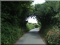 Canopy over minor road, Longrock