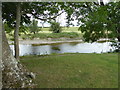 Section river bank on the River Severn near Berriew