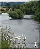 SO5827 : River Wye near Baysham by Stephen Richards