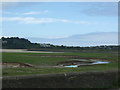 The Hayle Estuary