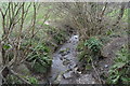 Small stream, Eggbuckland