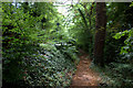 Path alongside B2209, Mickleham