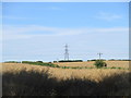 Fields of oilseed rape near Normanton