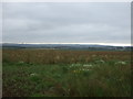 Crop field near Mably Farm