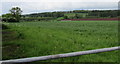 View from the northwest end of Grove Road, Lydney