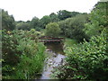 Foot bridge over the River Hayle, Townshend