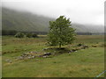 Ruined dwelling at Bontyre, Glen Clova