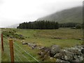 Remains of fank, Glen Clova