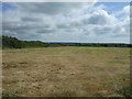 Silage field near Little Trethvas Farm