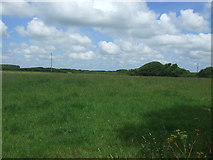 SW7116 : Grassland, Tresaddern Farm by JThomas
