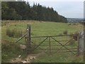 Footpath across Field at St.Gwynno