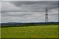 Cornwall : Grassy Field