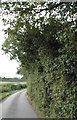 Road entering Trowley Bottom