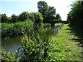 Chesterfield Canal Misterton Notts Bridge 79 in distance