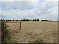 Nibley farmland, South Gloucestershire