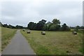 Bales beside the path