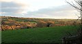 Field and valley near Blisland