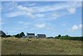 Silage field, Mentone