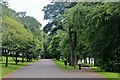 Driveway in Bellahouston Park